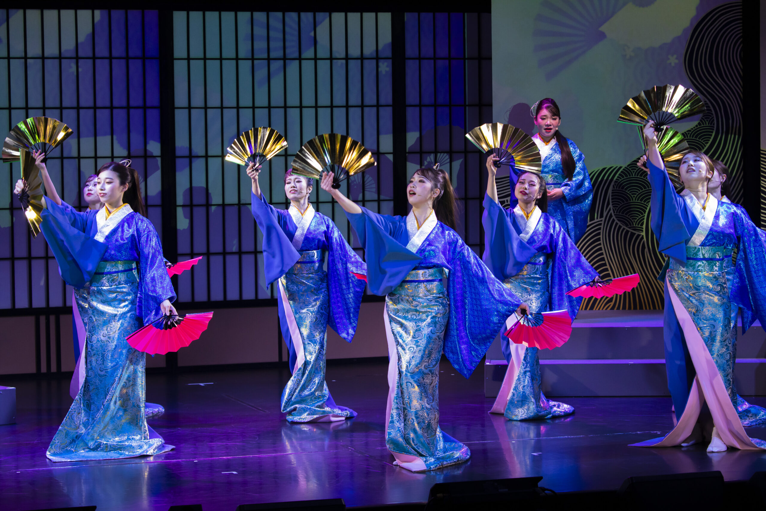 昼夜帯 吉原つなぎ 日本舞踊 大衆演劇 化せん 未使用 昼夜帯 吉原つなぎ 日本舞踊 大衆演劇 化せん 未使用